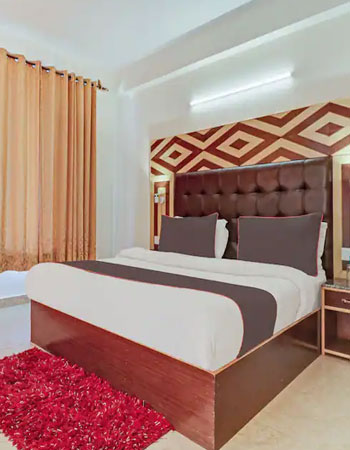 Hotel Neha Palace